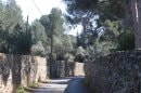 Route de St Loup